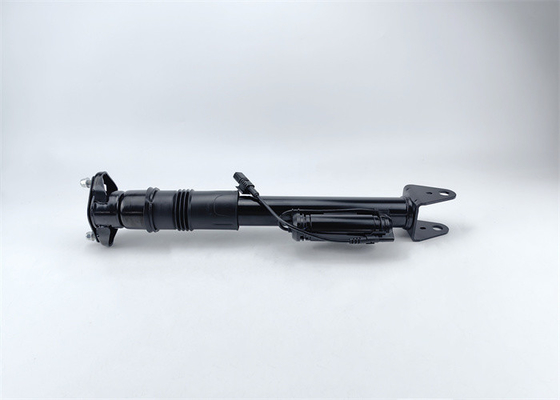 Shock Absorber Air Spring W251 R350 R500 Air Suspension 2513203131